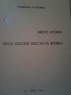 BREVE STORIA DELLA DIOCESI DELL'ALTA IRPINIA